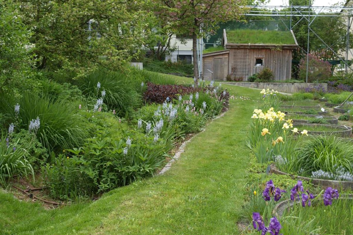 Versuchsflächen und Sickermulden an der LWG Veitshöchheim (Quelle: Institut für Stadtgrün und Landschaftsbau, LWG Veitshöchheim)